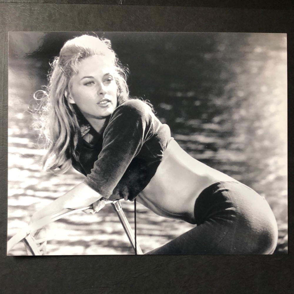 Celebrity Model Movie Star Faye Dunaway Photo